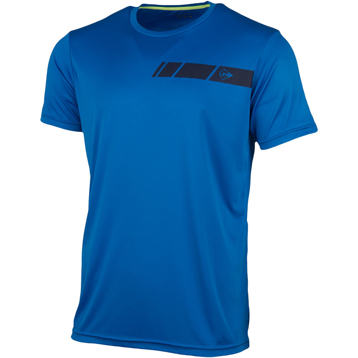 Vêtements Homme T-shirts manches courtes Dunlop 71332 Bleu