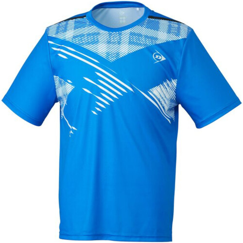 Vêtements Homme T-shirts manches courtes Dunlop 880001 Bleu
