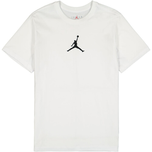 Vêtements Homme T-shirts manches courtes Nike CW5190 Blanc