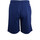 Vêtements Homme Shorts / Bermudas Fila FAM0082 Bleu