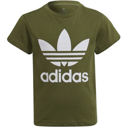 Vêtements Garçon T-shirts manches courtes adidas Originals HD2005 Vert