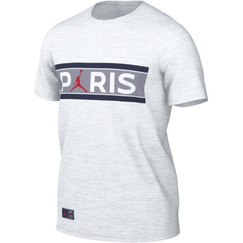 Vêtements Homme T-shirts manches courtes Nike DB6510 Gris