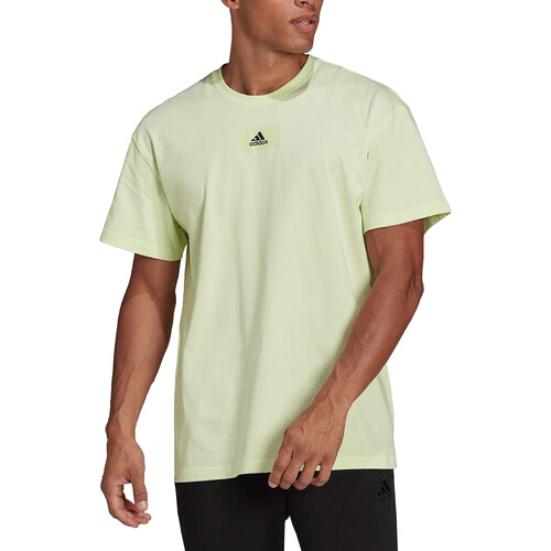 Vêtements Homme T-shirts manches courtes adidas Originals HE4366 Vert