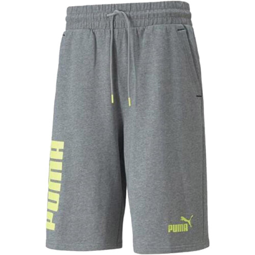 Vêtements Homme Shorts / Bermudas Puma 847391 Gris