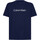 Vêtements Homme T-shirts manches courtes Calvin Klein Jeans 00GMS2K107 Bleu