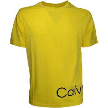 Vêtements Homme T-shirts manches courtes Calvin Klein Jeans 00GMS2K111 Jaune