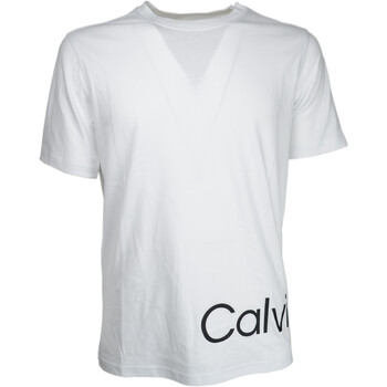 Vêtements Homme T-shirts manches courtes Calvin Klein Jeans 00GMS2K111 Blanc