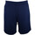 Vêtements Homme Shorts / Bermudas Calvin Klein Jeans 00GMS2S804 Bleu