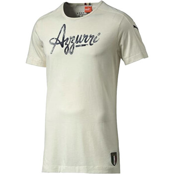 Vêtements Homme T-shirts manches courtes Puma 746950 Blanc