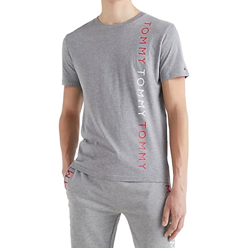 Vêtements Homme T-shirts manches courtes Tommy Hilfiger UM0UM02132 Gris