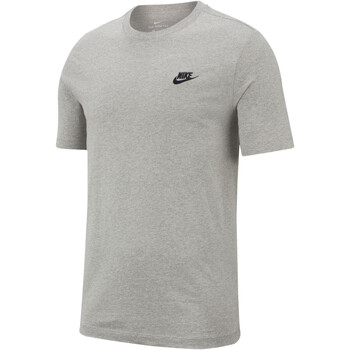 Vêtements Homme T-shirts manches courtes Nike AR4997 Gris