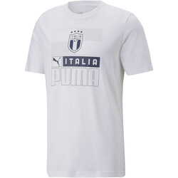 Vêtements Homme T-shirts manches courtes Puma 767122 Blanc
