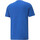 Vêtements Homme T-shirts manches courtes Puma 767122 Bleu
