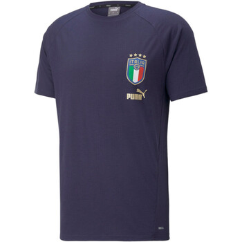 Vêtements Homme T-shirts manches courtes Puma 767119 Bleu