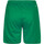 Vêtements Homme Shorts / Bermudas adidas Originals AJ5884 Vert
