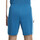 Vêtements Homme Shorts / Bermudas Nike DV9742 Vert