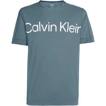 Vêtements Homme T-shirts manches courtes Calvin Klein Jeans 00GMS3K102 Vert