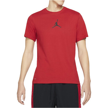 Vêtements Homme T-shirts manches courtes Nike CW5190 Rouge