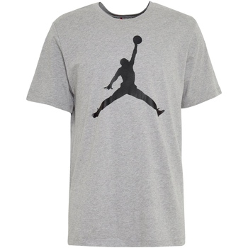 Vêtements Homme T-shirts manches courtes Nike CJ0921 Gris