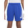 Vêtements Garçon Shorts / Bermudas Nike DX5361 Bleu