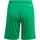 Vêtements Garçon Shorts / Bermudas adidas Originals GN5762 Vert