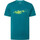Vêtements Homme T-shirts manches courtes Mckinley 422402 Vert