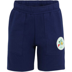 Vêtements Garçon Shorts / Bermudas Fila FAK0188 Bleu