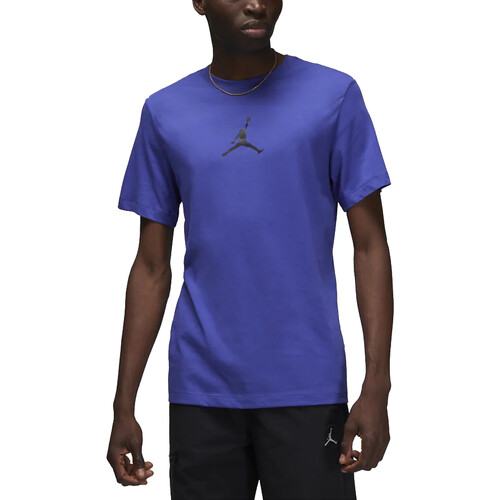 Vêtements Homme T-shirts manches courtes Nike CW5190 Violet