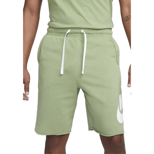 Vêtements Homme Shorts / Bermudas Nike DX0502 Vert