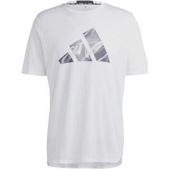Vêtements Homme T-shirts manches courtes adidas Originals IB7921 Blanc