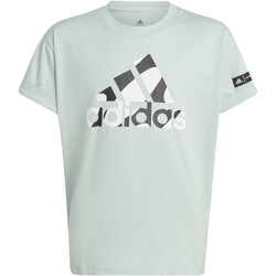 Vêtements Garçon T-shirts manches courtes adidas Originals IB9152 Vert