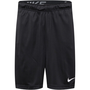 Vêtements Homme Shorts / Bermudas Nike FB4196 Noir