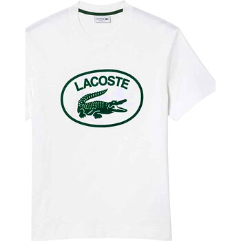 Vêtements Homme T-shirts manches courtes Lacoste TH0244 Blanc