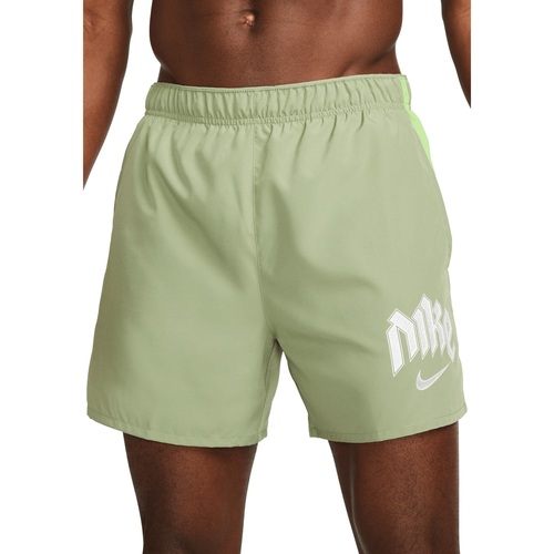 Vêtements Homme Shorts / Bermudas Nike DX0837 Vert