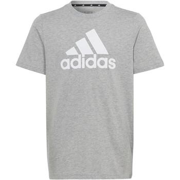 Vêtements Garçon T-shirts manches courtes adidas Originals HR6379 Gris