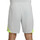 Vêtements Homme Shorts / Bermudas Nike DV9276 Gris