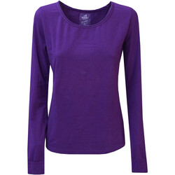Vêtements Femme T-shirts manches longues Deha D85043 Violet