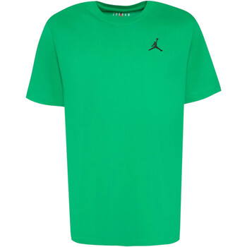 Vêtements Homme T-shirts manches courtes Nike DX9597 Vert