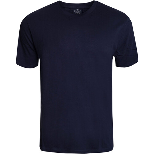 Vêtements Homme T-shirts manches courtes Champion 218543 Bleu