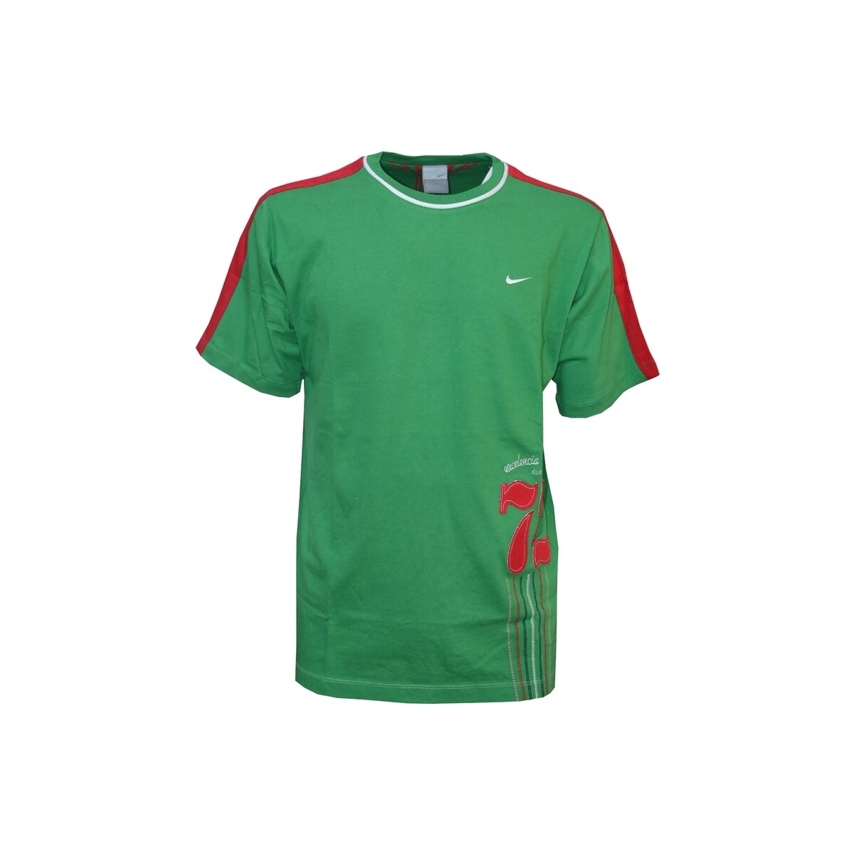 Vêtements Homme T-shirts manches courtes Nike 119903 Vert