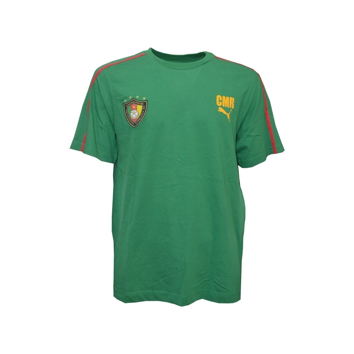 Vêtements Homme T-shirts manches courtes Puma 802831 Vert
