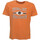 Vêtements Homme T-shirts manches courtes Champion 201899 Orange