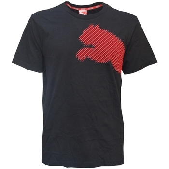 Vêtements Homme T-shirts manches courtes Puma 815461 Noir