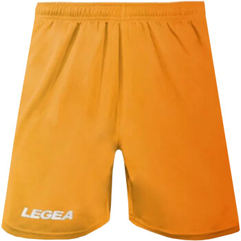 Vêtements Homme Shorts / Bermudas Legea P190 Orange