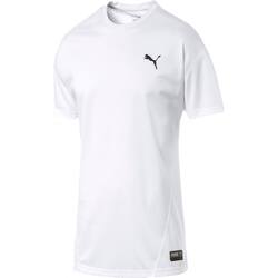 Vêtements Homme T-shirts manches courtes Puma 516648 Blanc