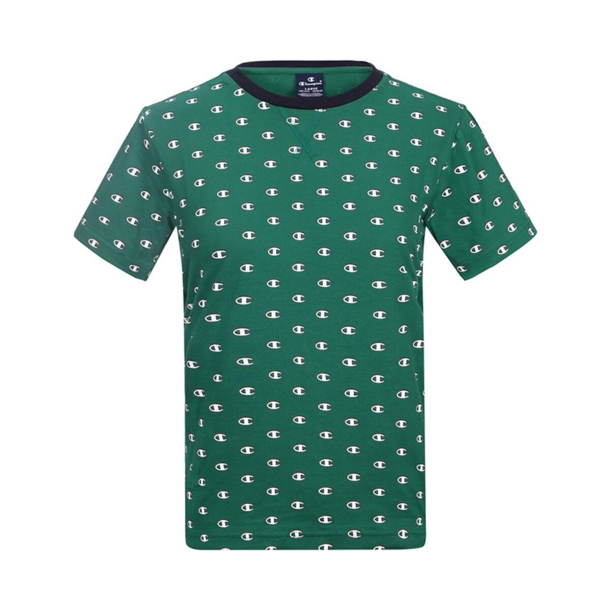 Vêtements Garçon T-shirts manches courtes Champion 304971 Vert