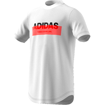 Vêtements Garçon T-shirts manches courtes adidas Black Originals DV1653 Blanc