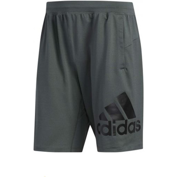 Vêtements Homme Shorts / Bermudas adidas Originals DU1597 Vert