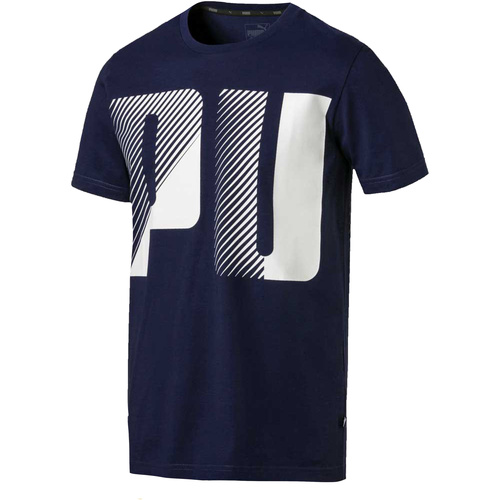 Vêtements Homme T-shirts manches courtes Puma 579527 Bleu