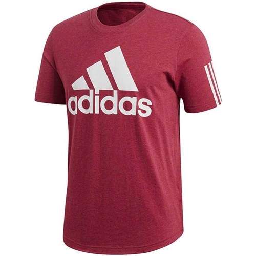 Vêtements Homme T-shirts manches courtes adidas Originals DM4063 Bordeaux